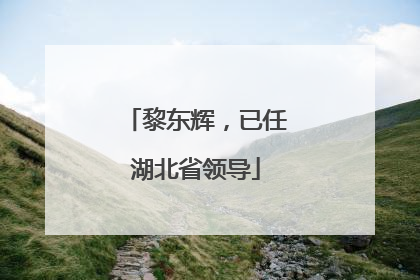 黎东辉，已任湖北省领导