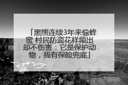 黑熊连续3年来偷蜂蜜 村民防盗花样频出却不伤害：它是保护动物，我有保险兜底