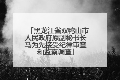 黑龙江省双鸭山市人民政府原副秘书长马为先接受纪律审查和监察调查