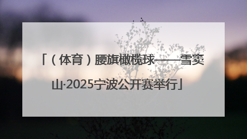 （体育）腰旗橄榄球——雪窦山·2025宁波公开赛举行