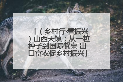 （乡村行·看振兴）山西天镇：从一粒种子到国际餐桌 出口富农促乡村振兴