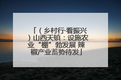 （乡村行·看振兴）山西天镇：设施农业“棚”勃发展 辣椒产业蓄势待发