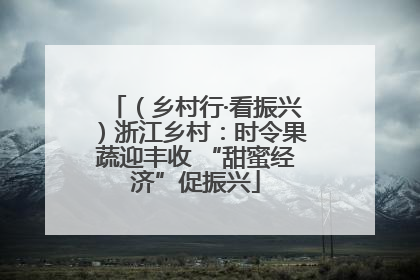 （乡村行·看振兴）浙江乡村：时令果蔬迎丰收 “甜蜜经济”促振兴