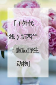 （外代一线）新西兰：邂逅野生动物