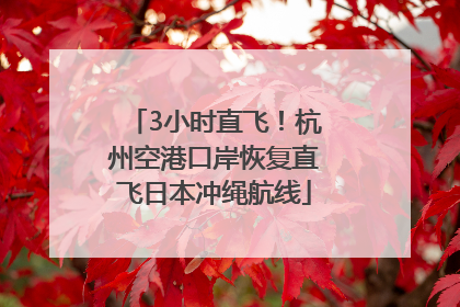 3小时直飞！杭州空港口岸恢复直飞日本冲绳航线