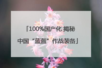 100%国产化 揭秘中国“蓝盔”作战装备