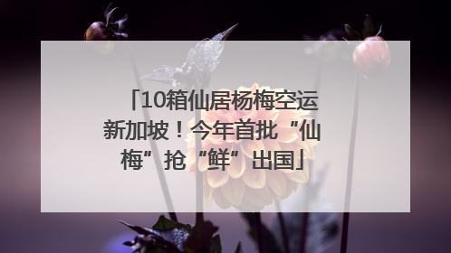 10箱仙居杨梅空运新加坡！今年首批“仙梅”抢“鲜”出国