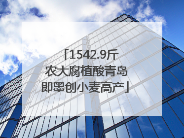 1542.9斤 农大腐植酸青岛即墨创小麦高产