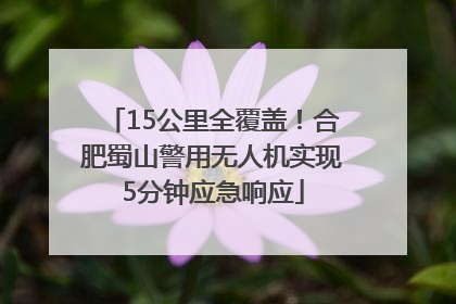 15公里全覆盖！合肥蜀山警用无人机实现5分钟应急响应