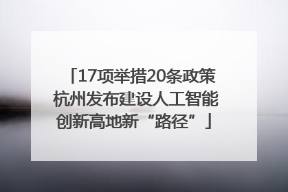 17项举措20条政策 杭州发布建设人工智能创新高地新“路径”