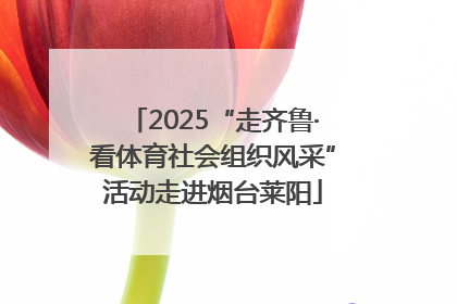 2025“走齐鲁·看体育社会组织风采”活动走进烟台莱阳