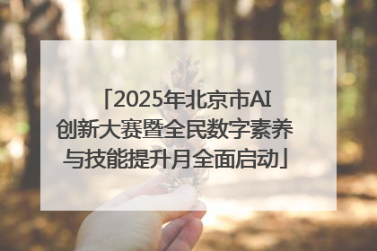 2025年北京市AI创新大赛暨全民数字素养与技能提升月全面启动