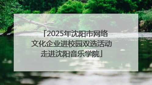 2025年沈阳市网络文化企业进校园双选活动走进沈阳音乐学院
