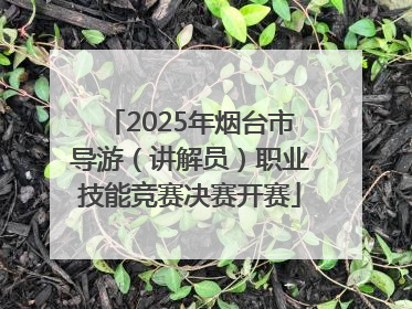 2025年烟台市导游（讲解员）职业技能竞赛决赛开赛