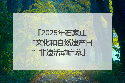 2025年石家庄“文化和自然遗产日”非遗活动启幕