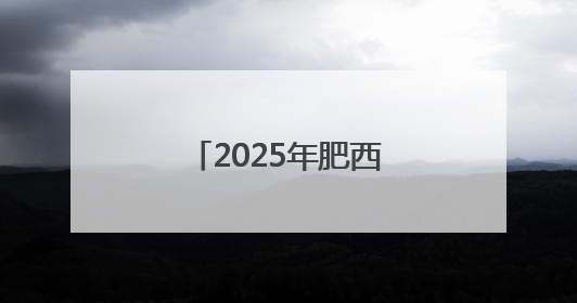 2025年肥西县中小学生乒乓球比赛圆满落幕