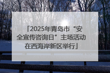 2025年青岛市“安全宣传咨询日”主场活动在西海岸新区举行