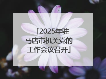 2025年驻马店市机关党的工作会议召开