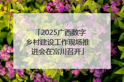 2025广西数字乡村建设工作现场推进会在富川召开