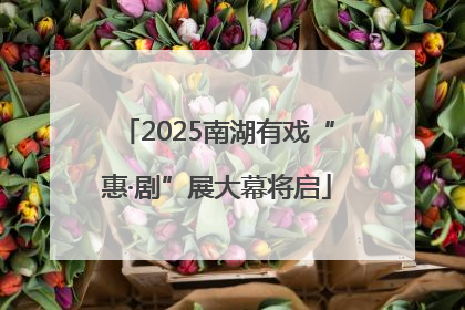 2025南湖有戏“惠·剧”展大幕将启