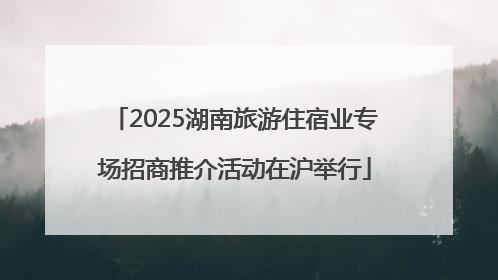 2025湖南旅游住宿业专场招商推介活动在沪举行