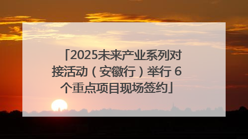 2025未来产业系列对接活动（安徽行）举行 6个重点项目现场签约