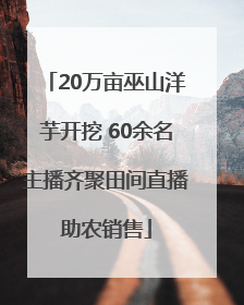 20万亩巫山洋芋开挖 60余名主播齐聚田间直播助农销售