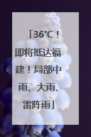 36℃！即将抵达福建！局部中雨、大雨、雷阵雨