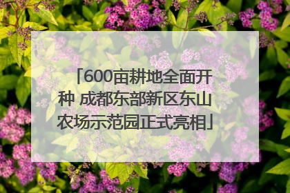 600亩耕地全面开种 成都东部新区东山农场示范园正式亮相