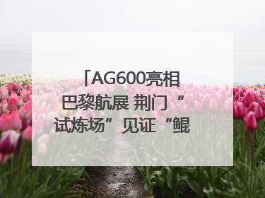 AG600亮相巴黎航展 荆门“试炼场”见证“鲲龙”腾飞