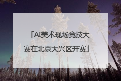 AI美术现场竞技大赛在北京大兴区开赛