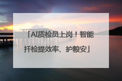 AI质检员上岗！智能扦检提效率、护粮安