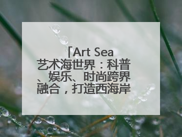 Art Sea艺术海世界：科普、娱乐、时尚跨界融合，打造西海岸新区文旅新地标