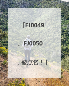 FJ0049、FJ0050，被点名！