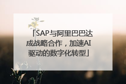 SAP与阿里巴巴达成战略合作，加速AI驱动的数字化转型