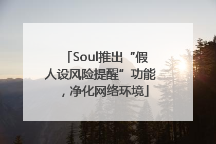 Soul推出“假人设风险提醒”功能，净化网络环境
